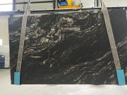 Cosmic black  7881(2).jpg